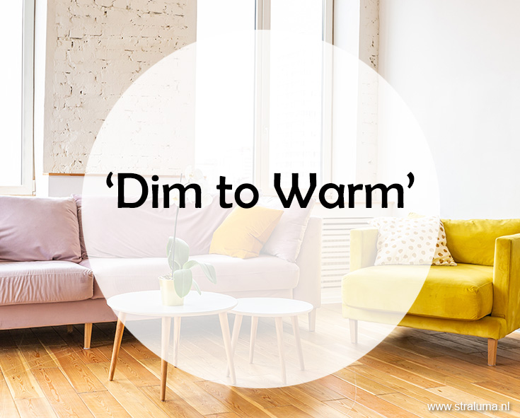 Wat is 'Dim to Warm' verlichting?
